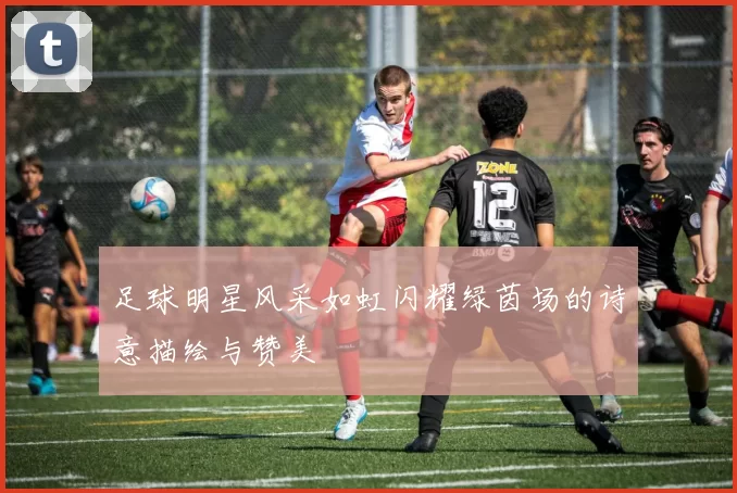 足球明星风采如虹闪耀绿茵场的诗意描绘与赞美