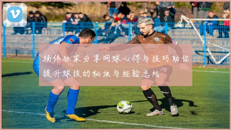 杨伟独家分享网球心得与技巧助你提升球技的秘诀与经验总结